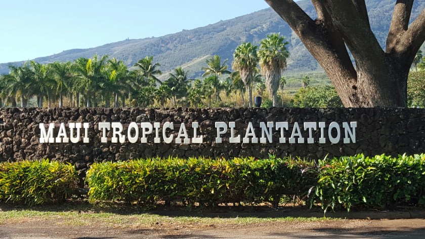 20160107_102124_002.jpg image