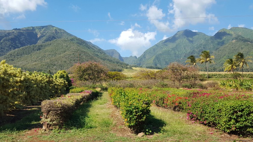 20160107_105554_001.jpg image