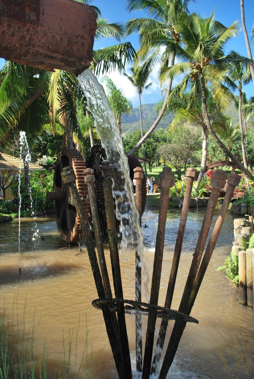 photo lost41.jpg image