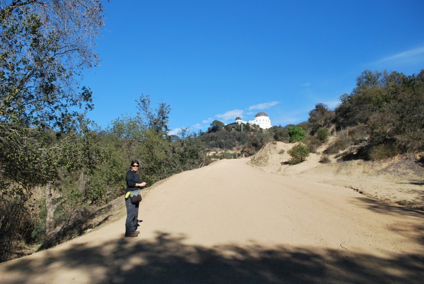 wp-1451872470503 image