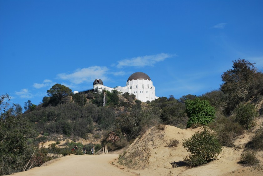 wp-1451872484656 image