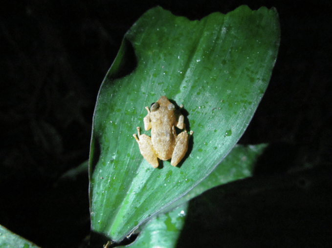 screen-shot-2016-09-22-at-06-38-02