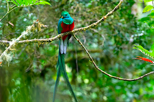 screen-shot-2016-10-05-at-20-15-43