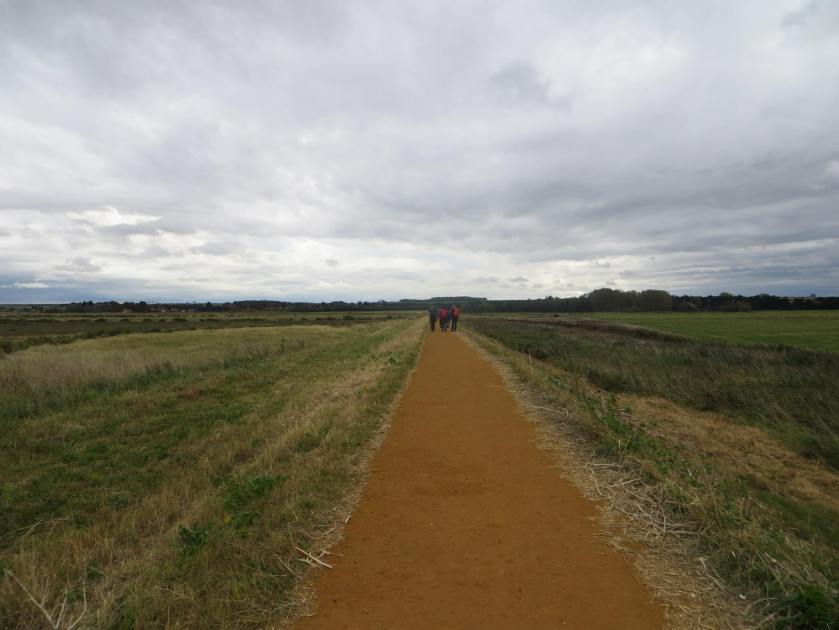 10629263_10204867982877536_1308756117281164795_o