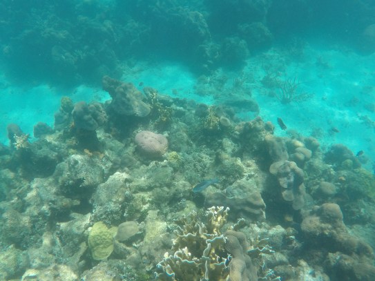 DCIM101GOPROGOPR2909.