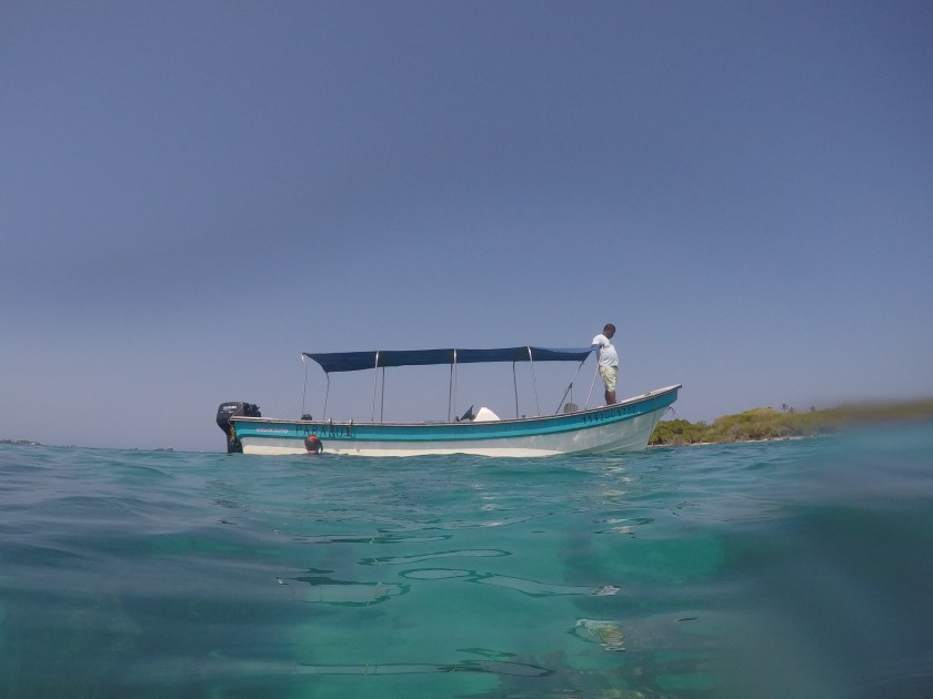 DCIM101GOPROGOPR2915.